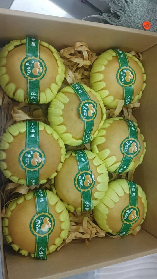 China Singo Pear GiftBox (8PCS)