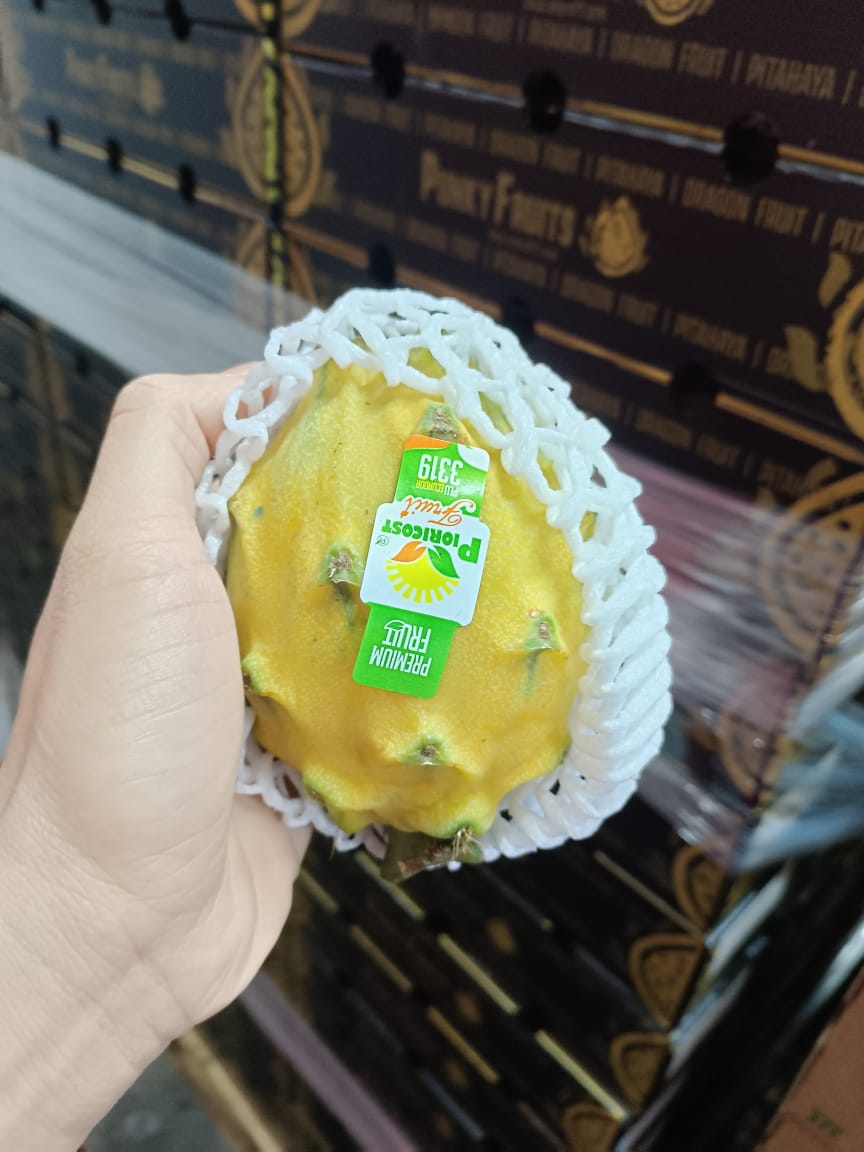 Ecuador Yellow Dragon Fruit / Pitaya