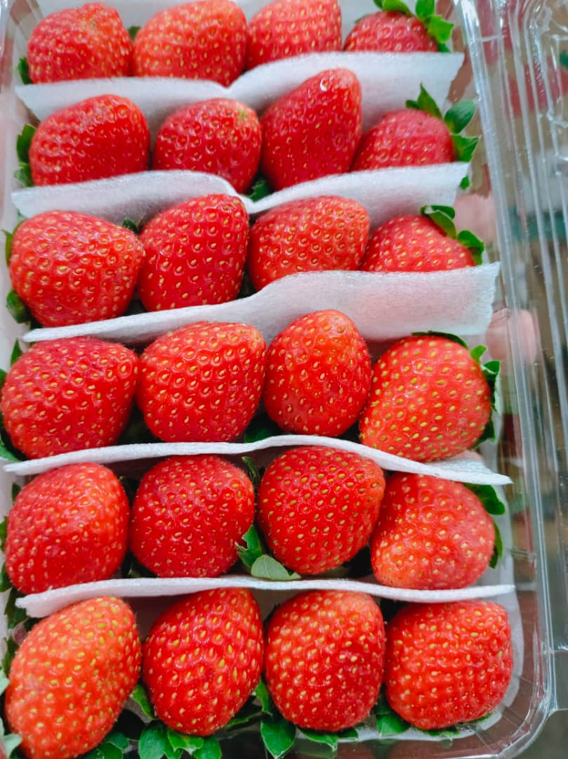 China Driscoll Strawberry 250g 