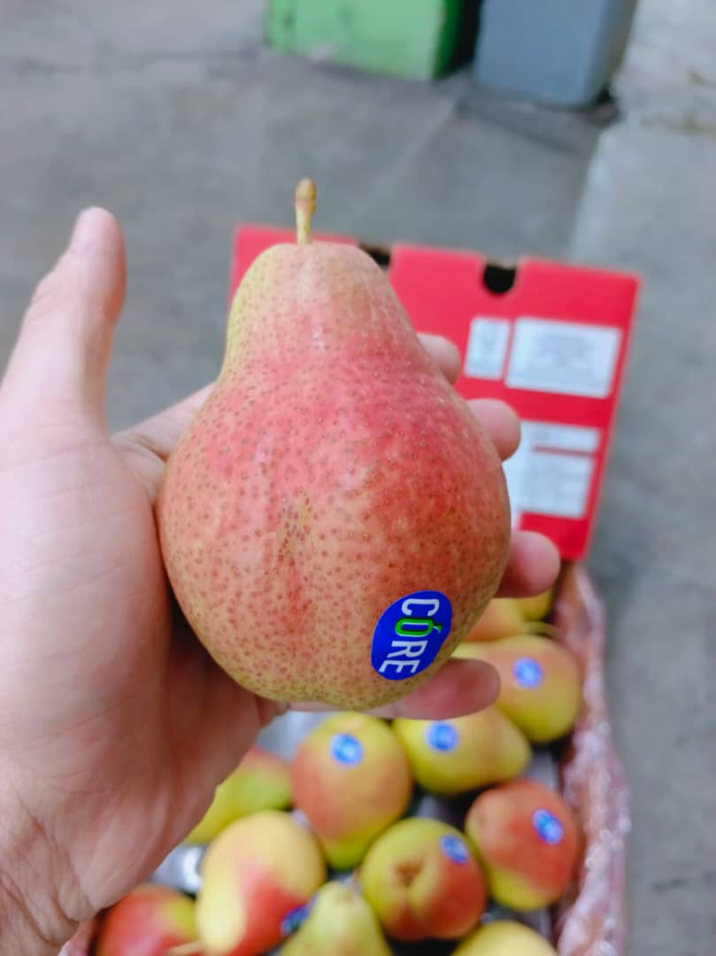 SA Forella Pear (5 pcs)