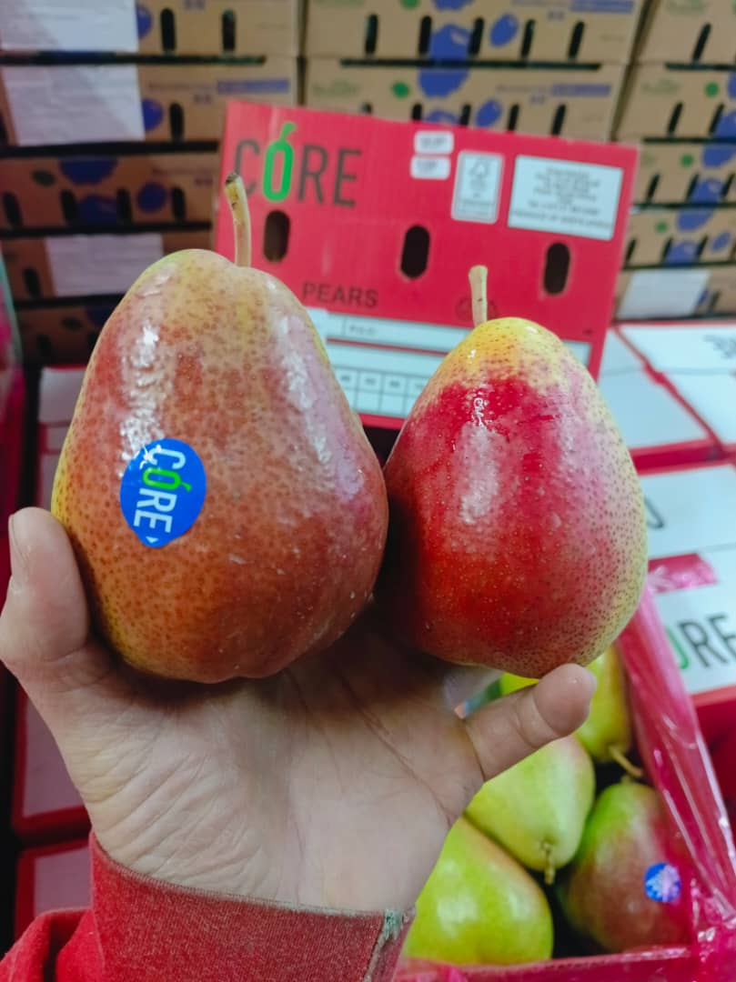 SA Forella Pear (5 pcs)