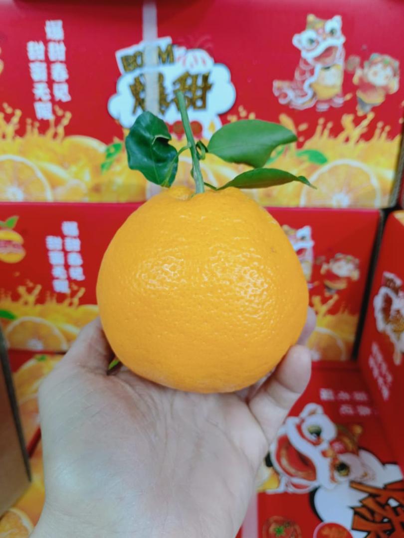 Chun Jian PaPa Mandarin ( 4 kg )