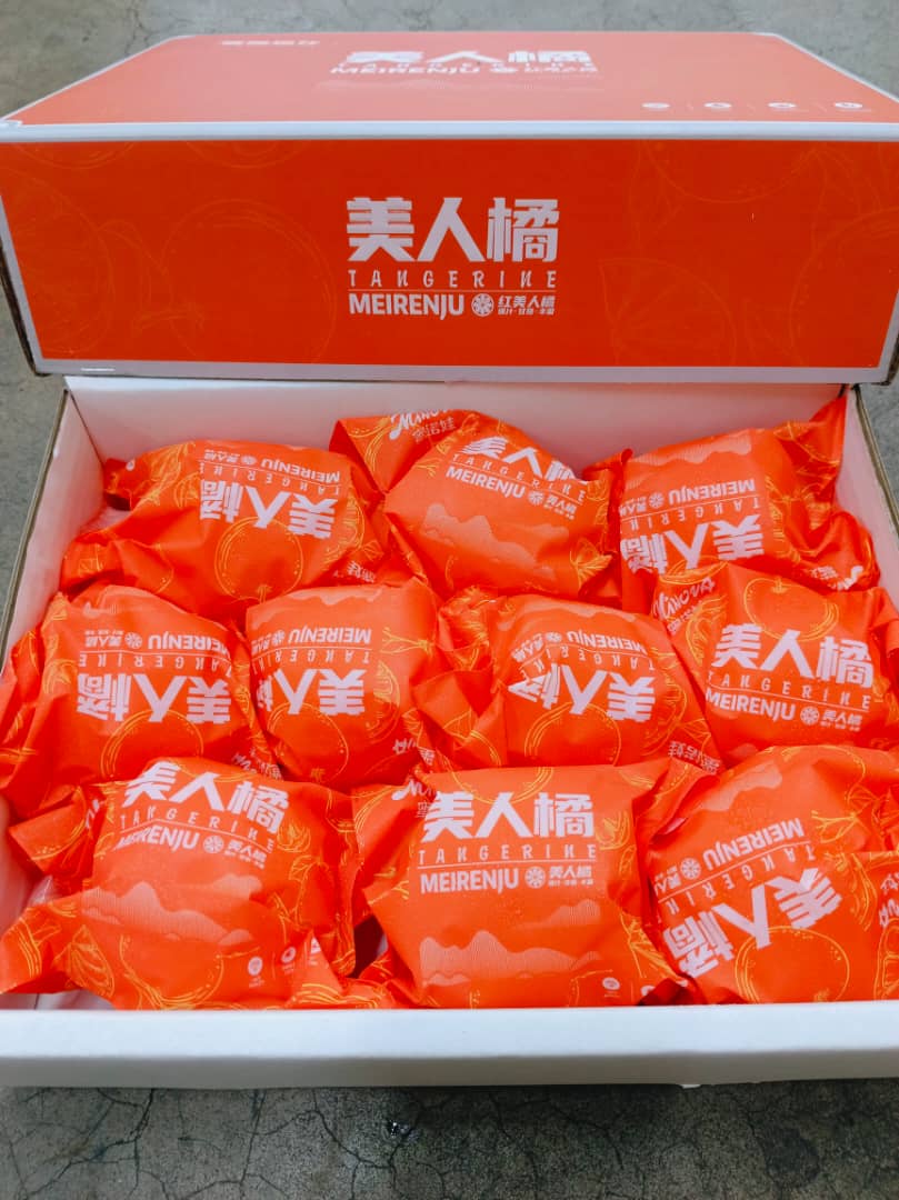 Red Beauty  Jelly Mandarin Gift Box (10/12 pcs)