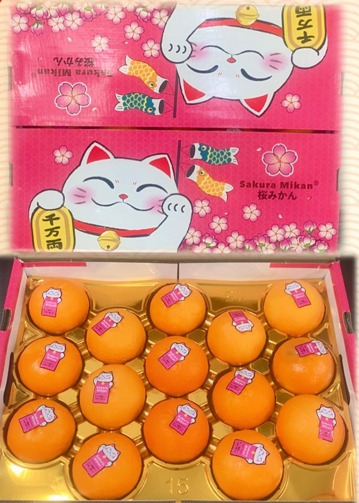 Sakura Mikam Gift Box 4kg
