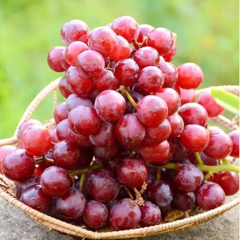 Aus Fire Crunch Red Grapes