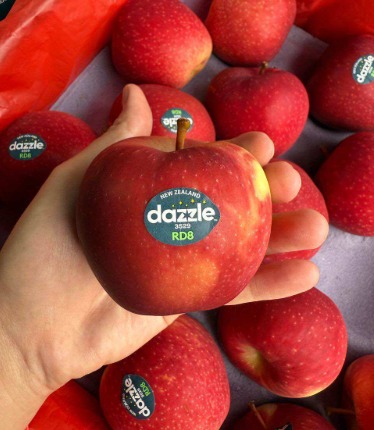 New Zealand Dazzle Apple
