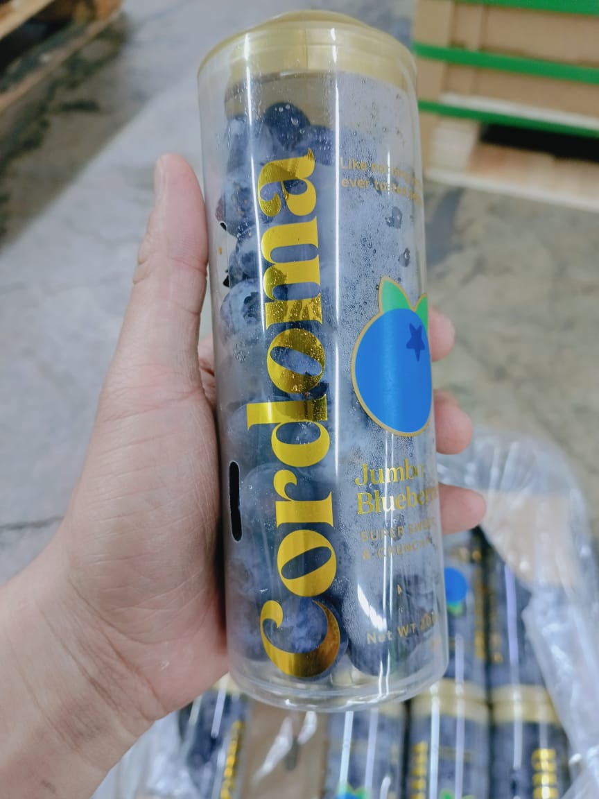 Cordoma Blueberries (200g) Tube