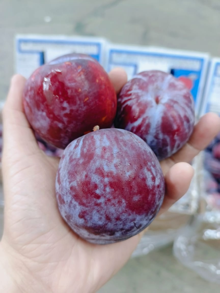 Australian Flavor Fall Plums (500g)