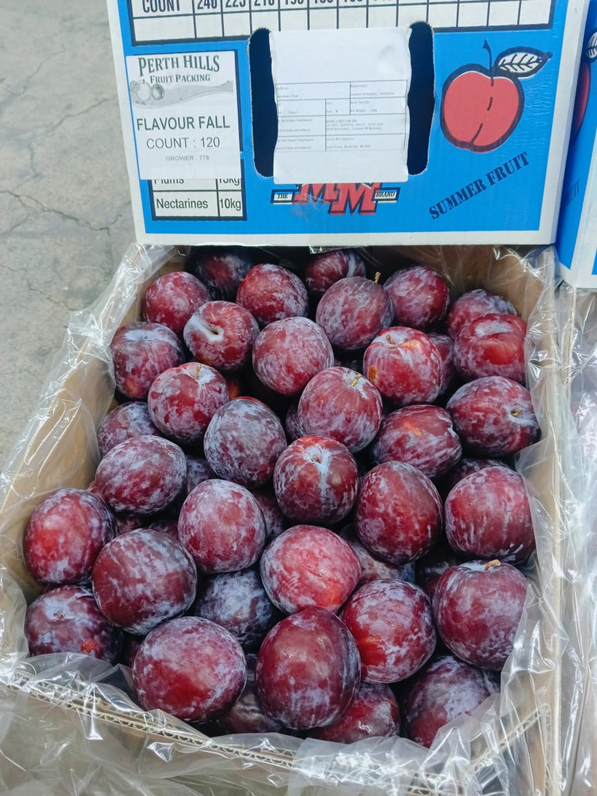 Australian Flavor Fall Plums (500g)