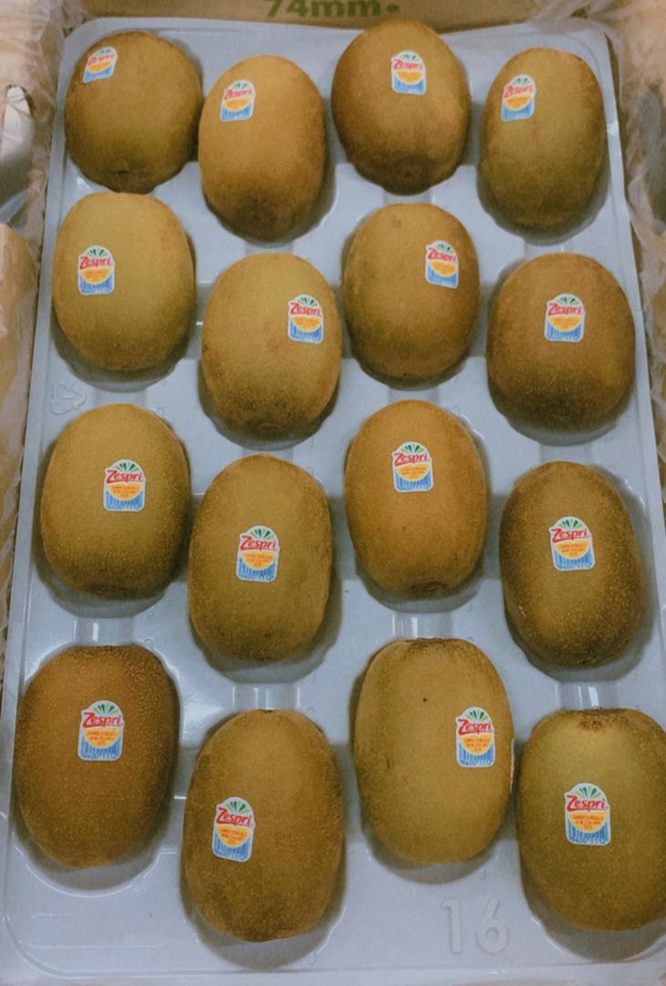 NZ Sungold Kiwi size 16pcs ( 1 ctn )