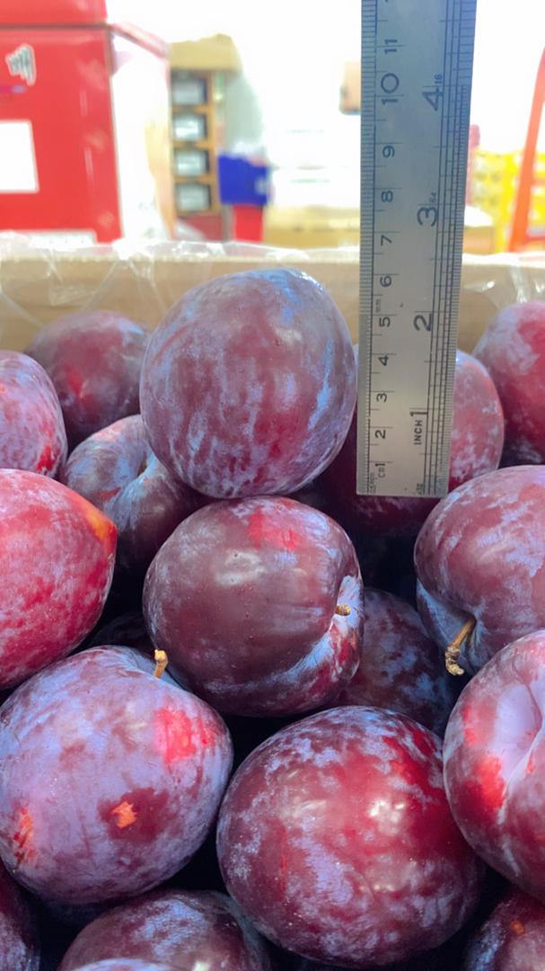 Australian Flavor Fall Plums (500g)