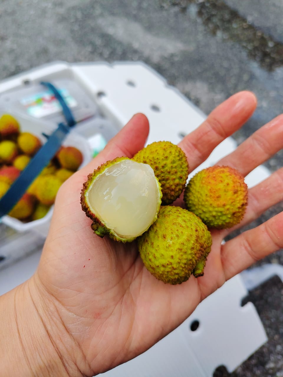 China Lychee Fei Zi Xiao 1kg