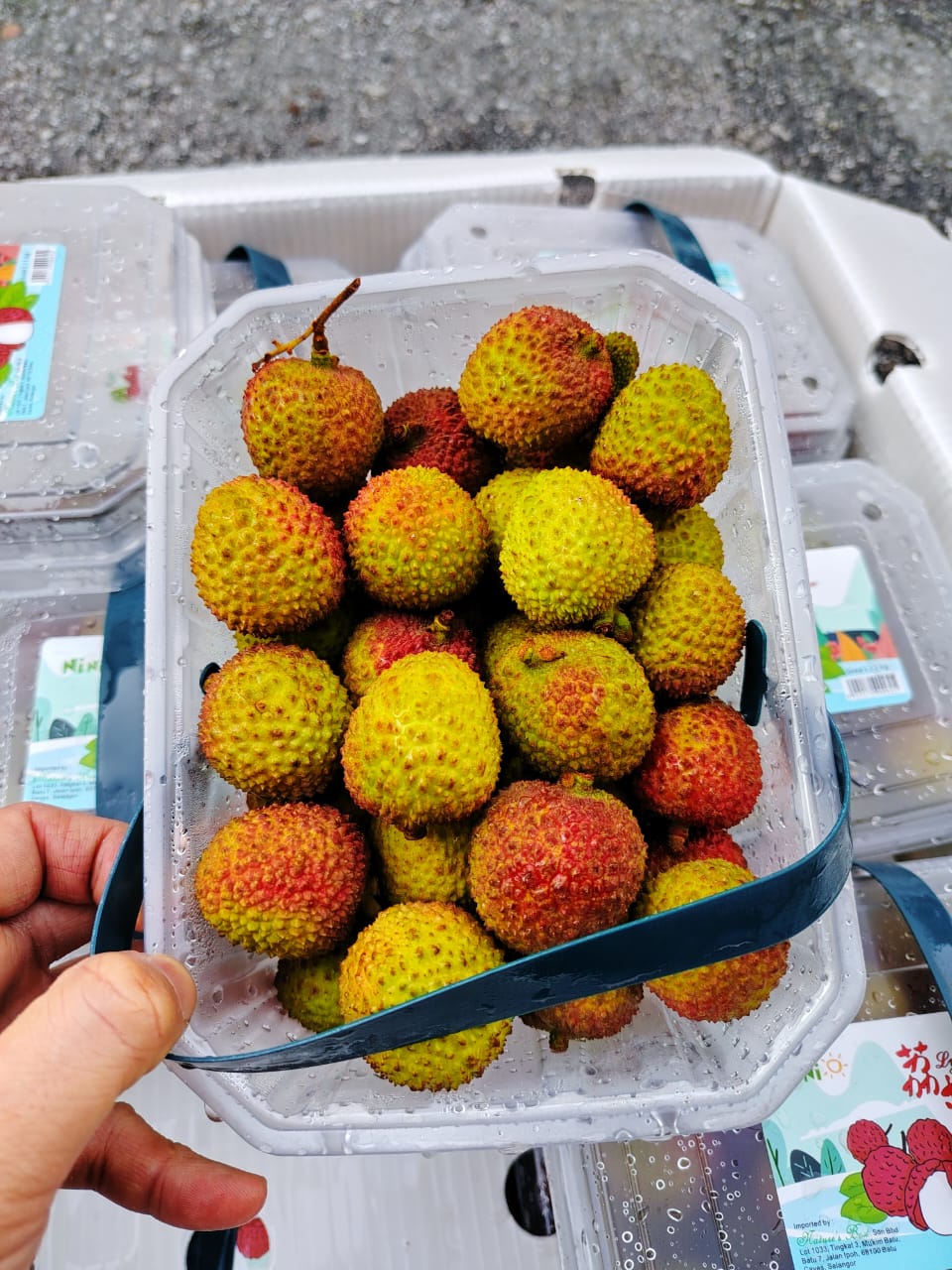 China Lychee Fei Zi Xiao 1kg