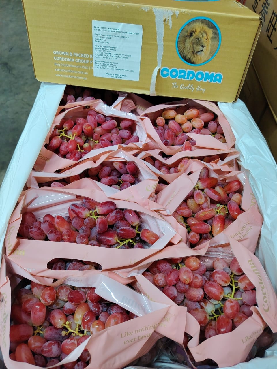 Australian Long Crimson Red Seedless Grapes