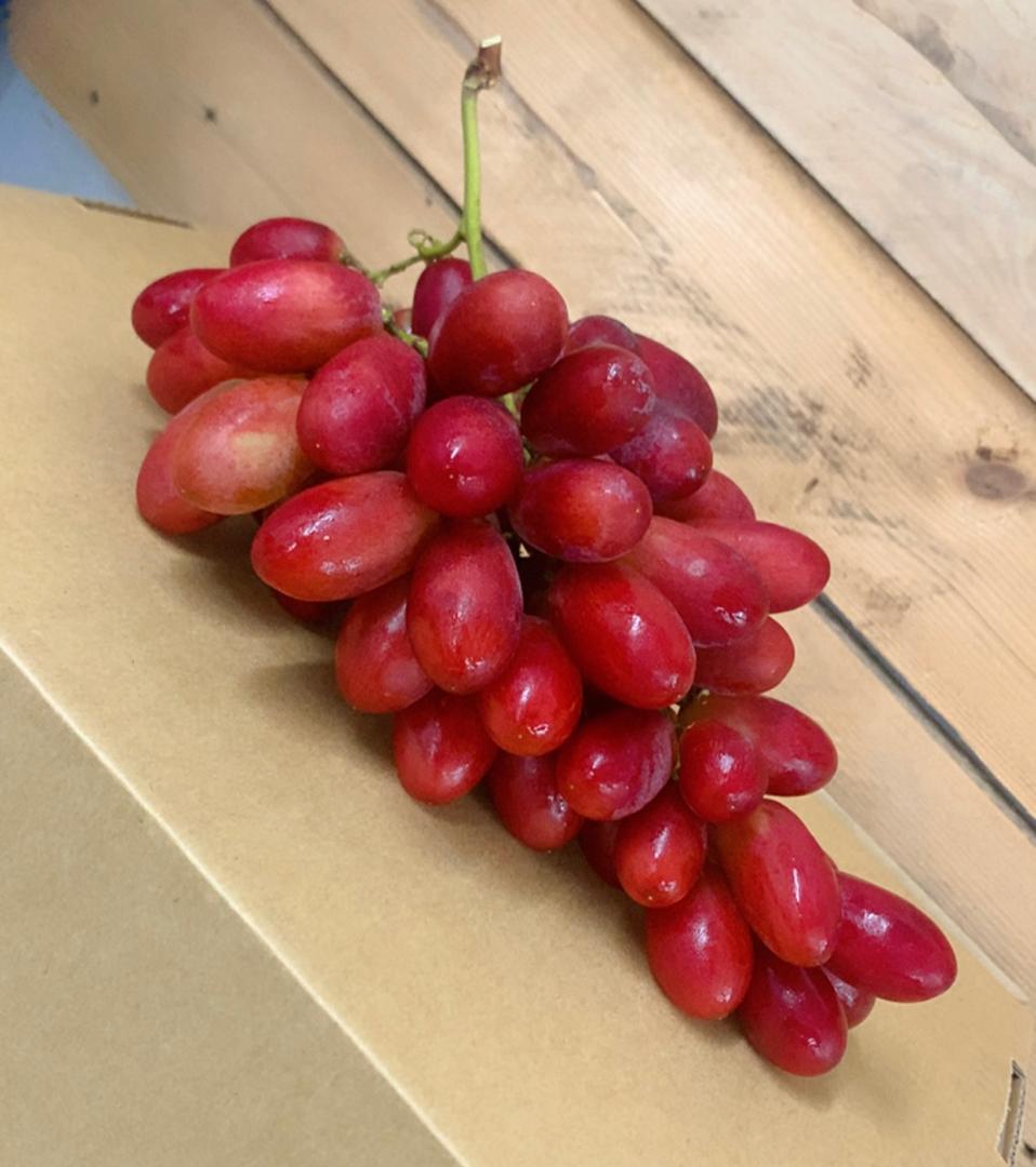China Red Ruby Seedless Grape