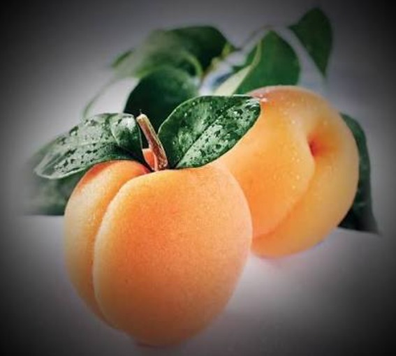 Turkey Sugar Apricot (350g)