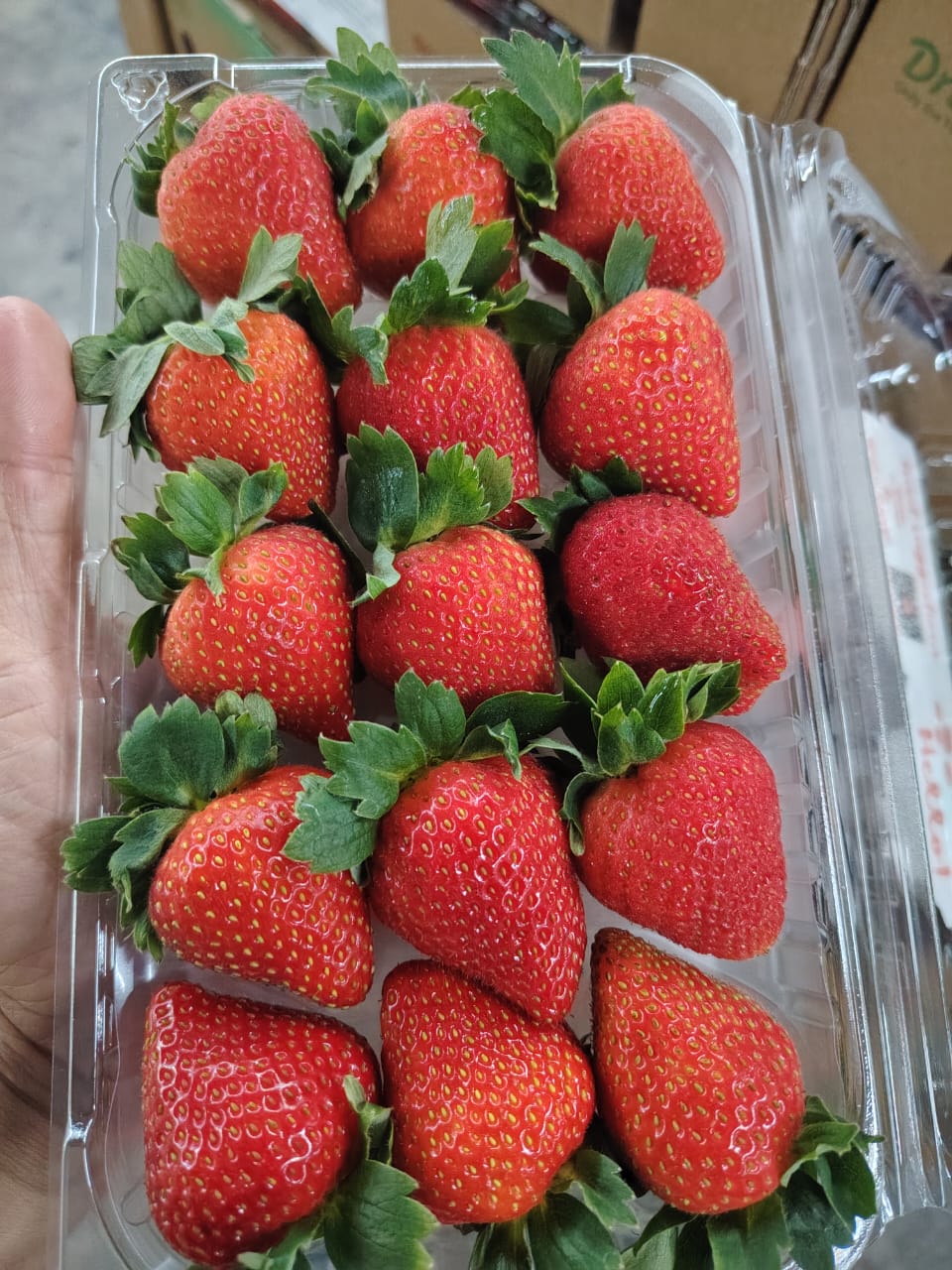 China Driscoll Strawberry 330g