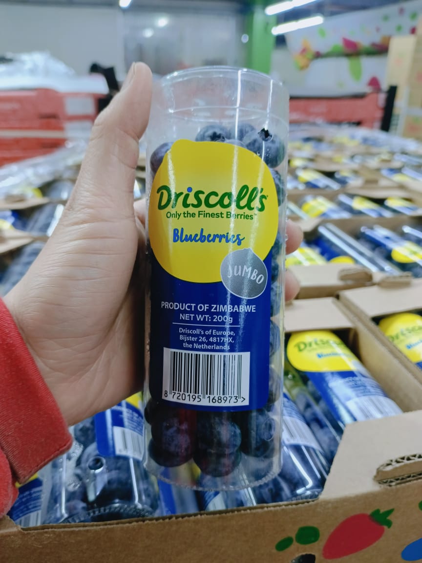  Blue Blueberries (200g) Tube