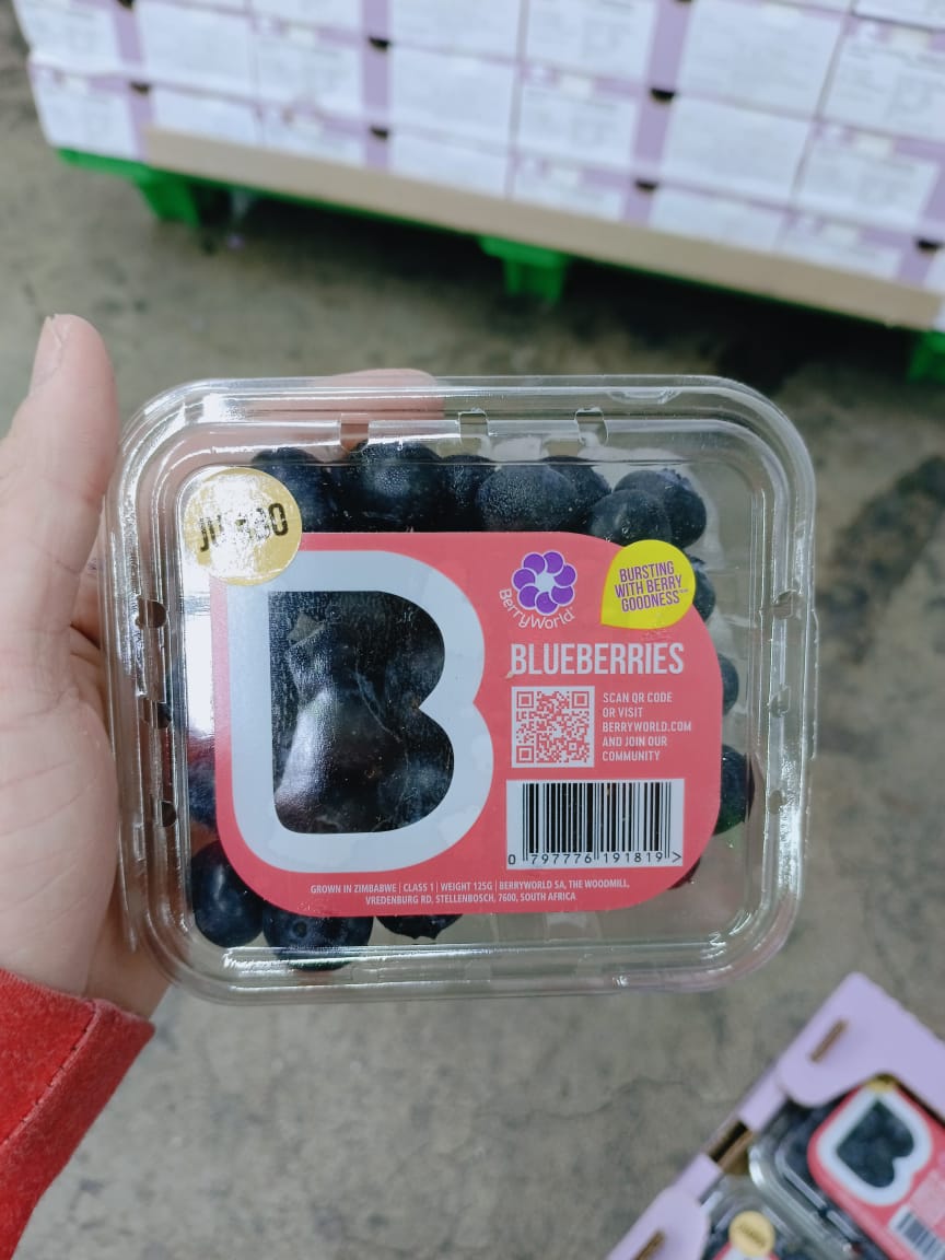 JUMBO Blueberry "Berry World" 125G
