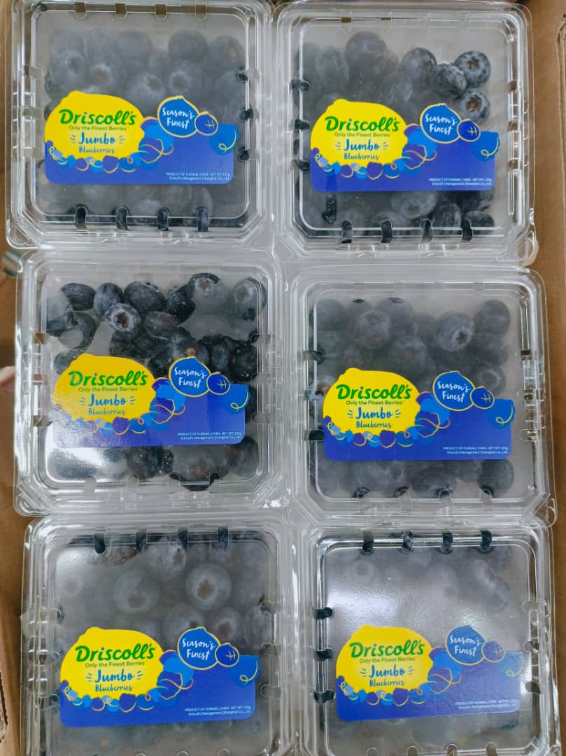 Driscoll Blueberry (125g) (1 ctn)