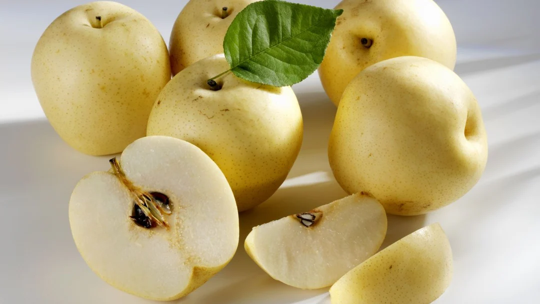 China Golden Pear ( 5 pcs )