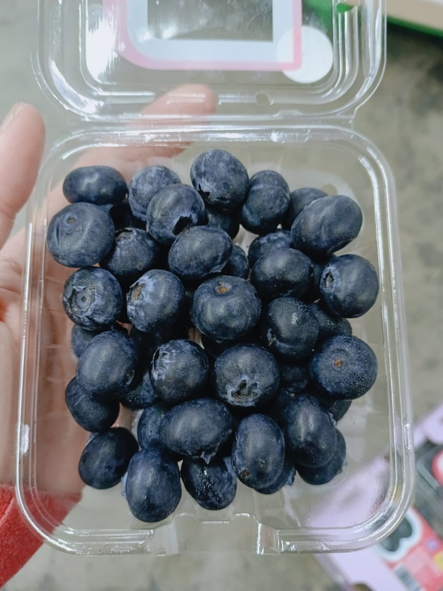 JUMBO Blueberry "Berry World" 125G