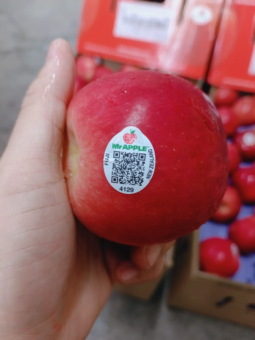 New Zealand  Honey Fuji Apple (10PCS)