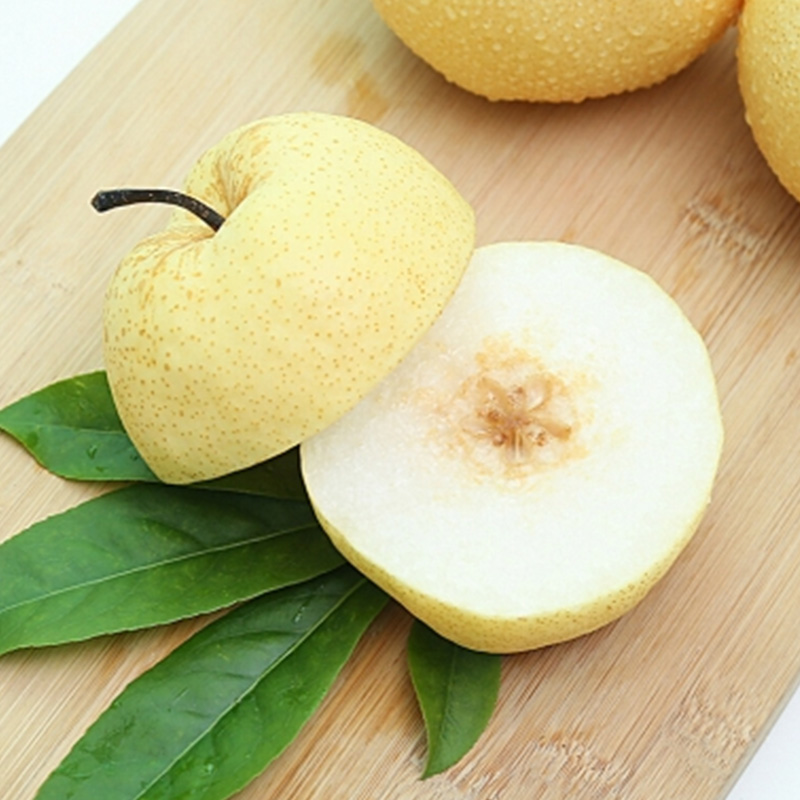 China Golden Pear ( 5 pcs )