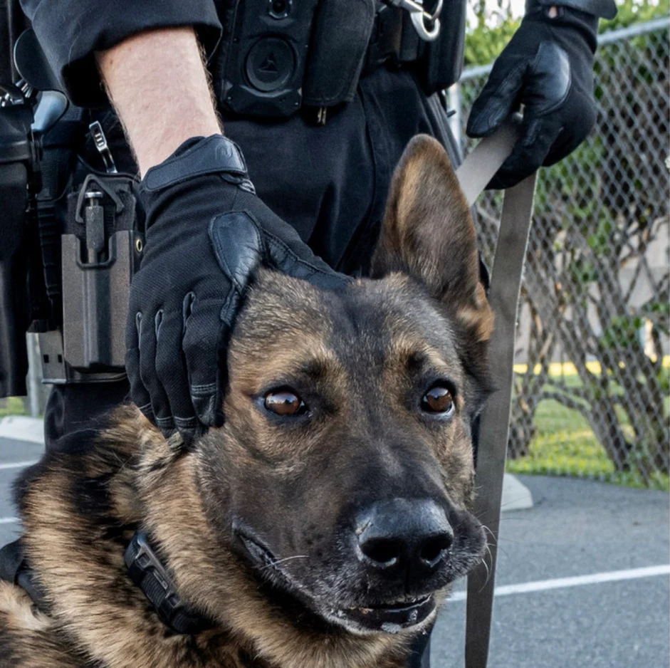 Ironclad - Rope Handler Tactical Gloves