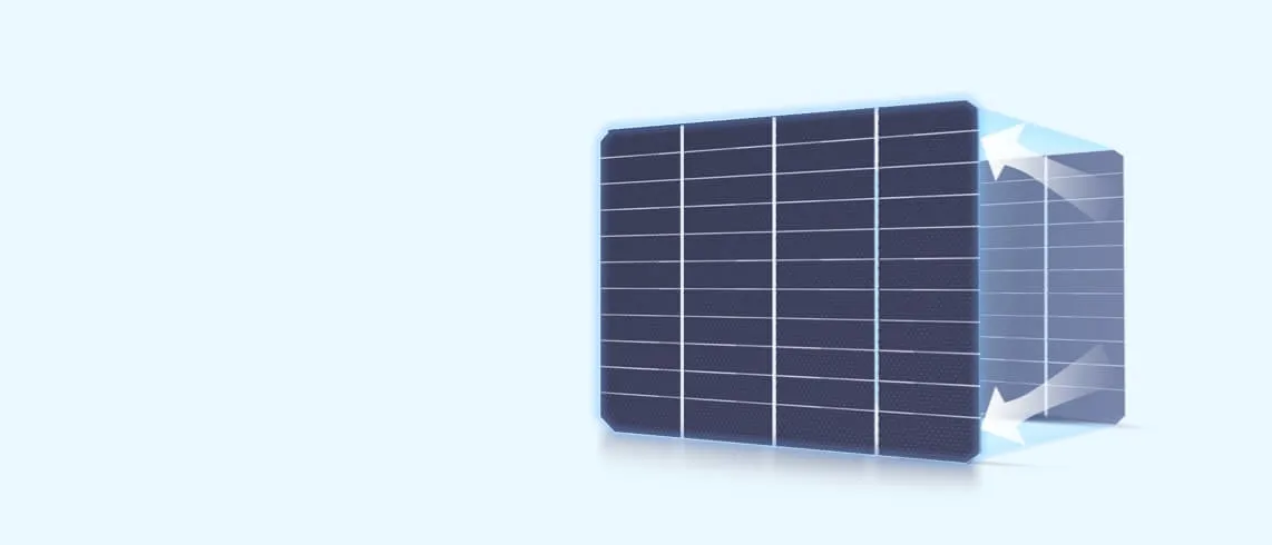 EcoFlow - Solar Panels 220W Bifacial (SG Version)