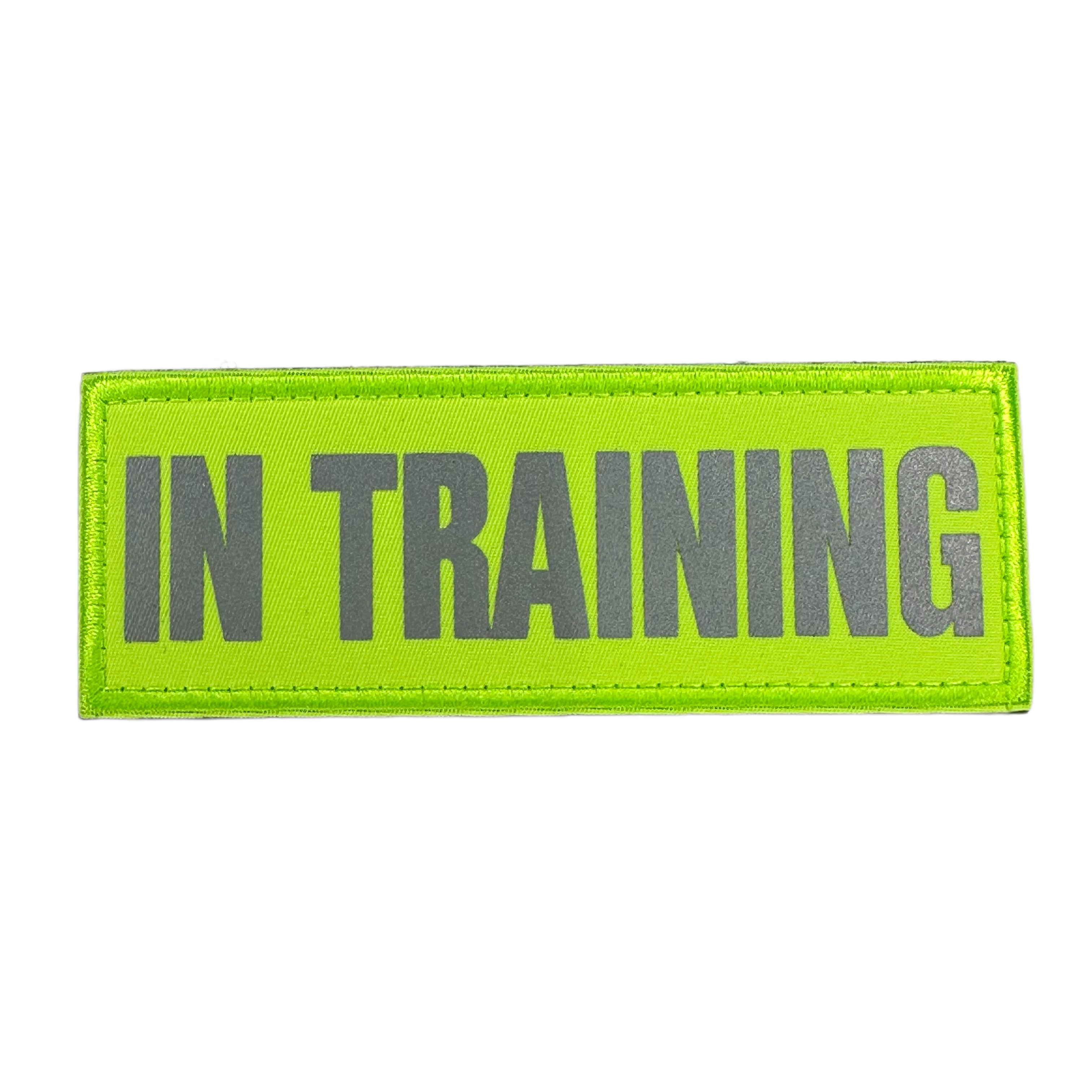 Laser Cut Patch -  Luminous In Training Reflective