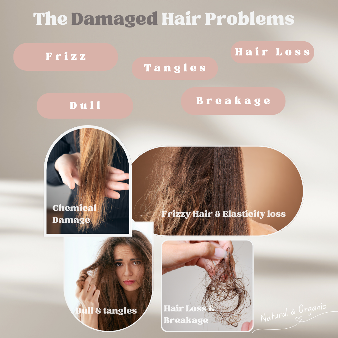 Revitalizing Essentials