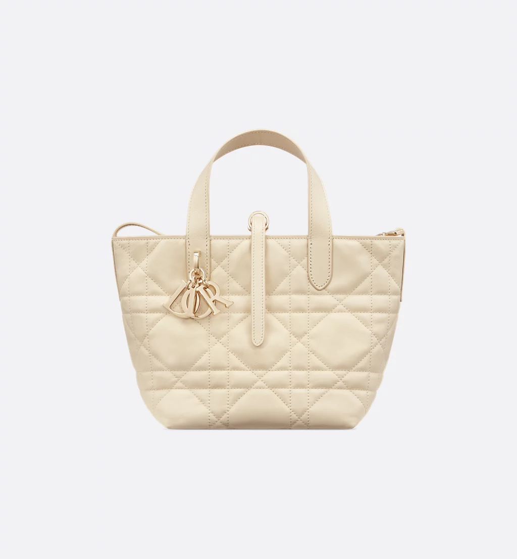 Small Dior Toujours Vertical Tote Bag