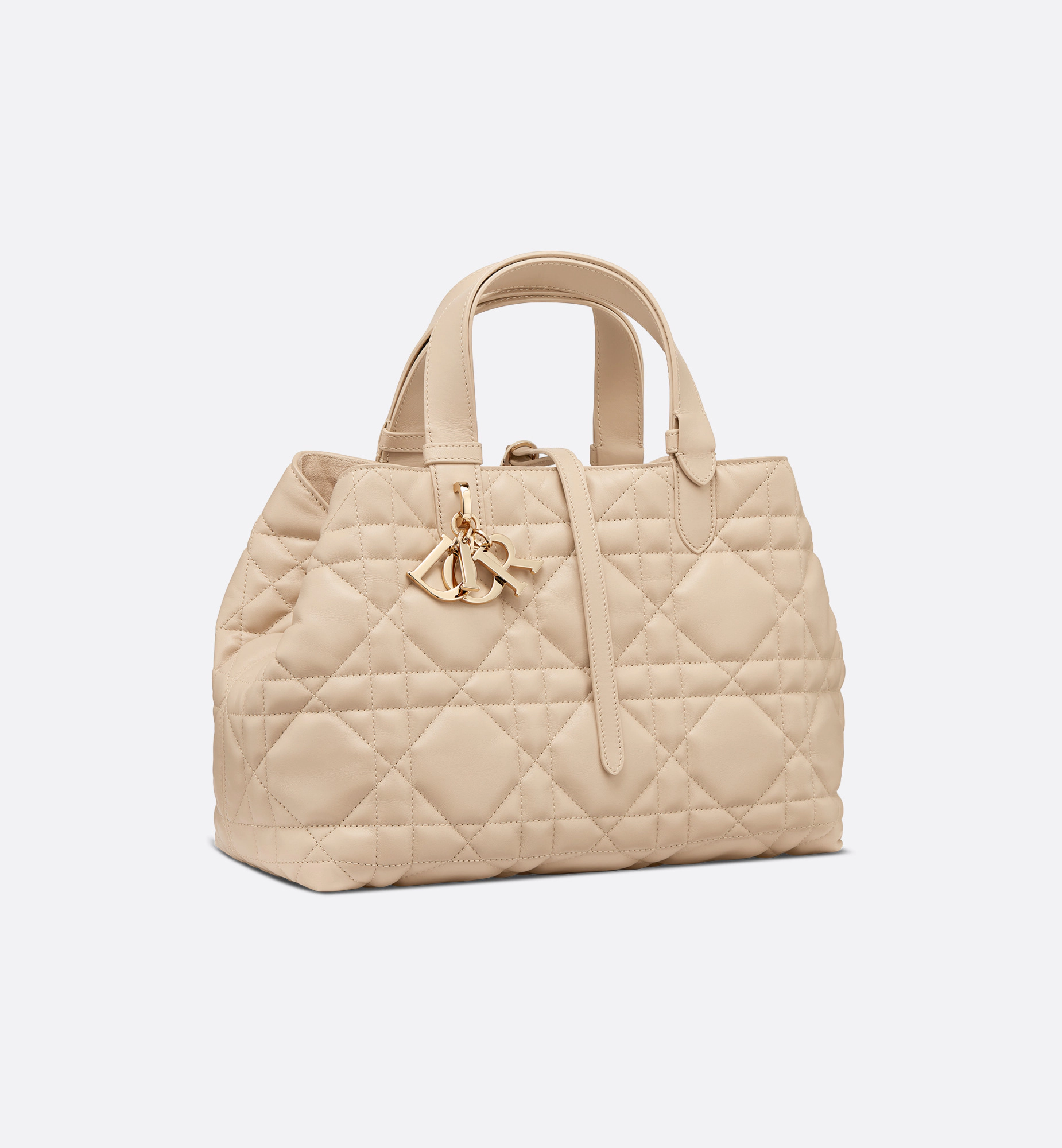 Medium Dior Toujours Bag