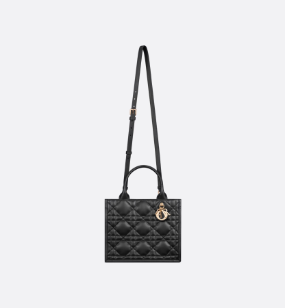 Small Dior Book Tote