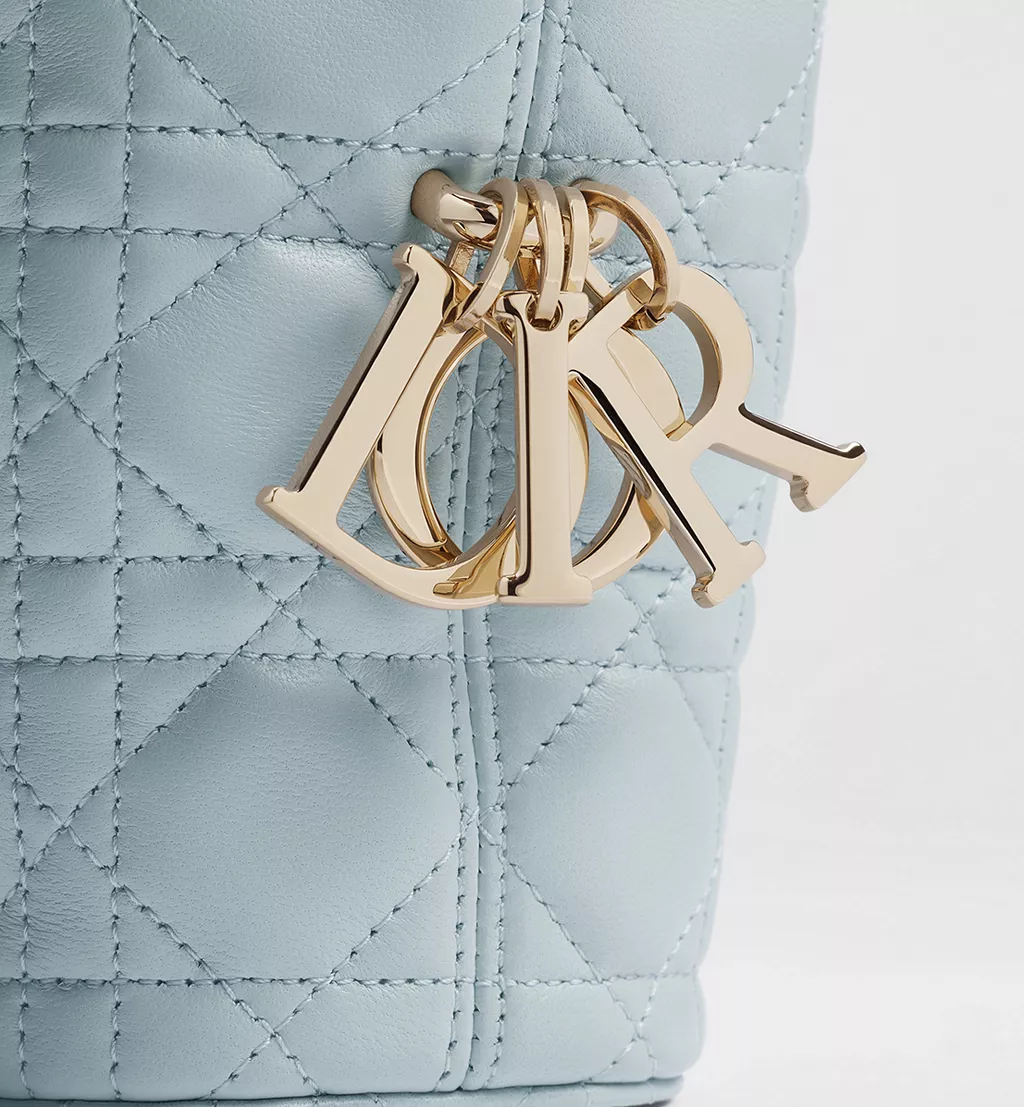 Small Dior Toujours Hobo Bag