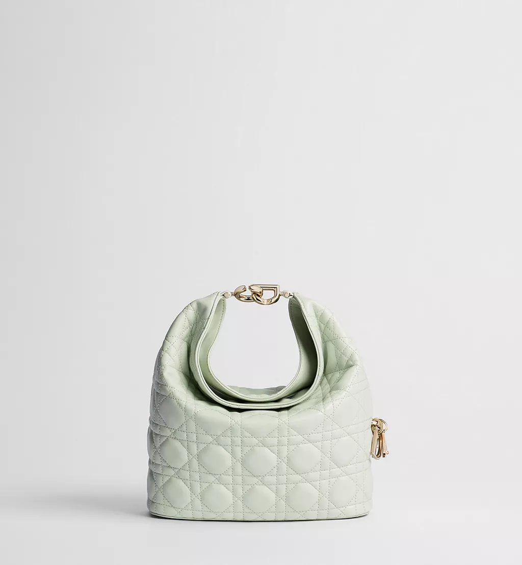 Small Dior Toujours Hobo Bag