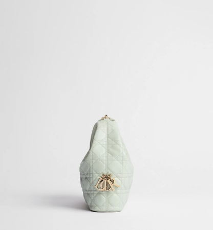 Small Dior Toujours Hobo Bag