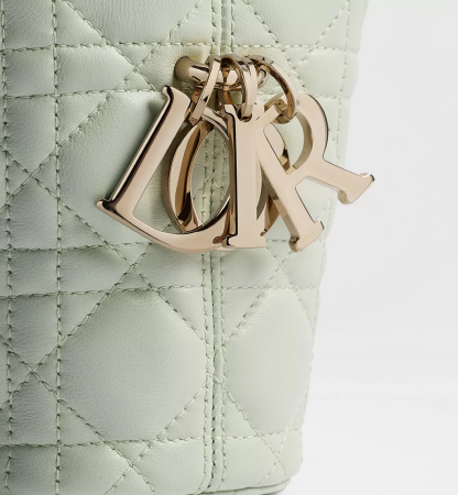 Small Dior Toujours Hobo Bag