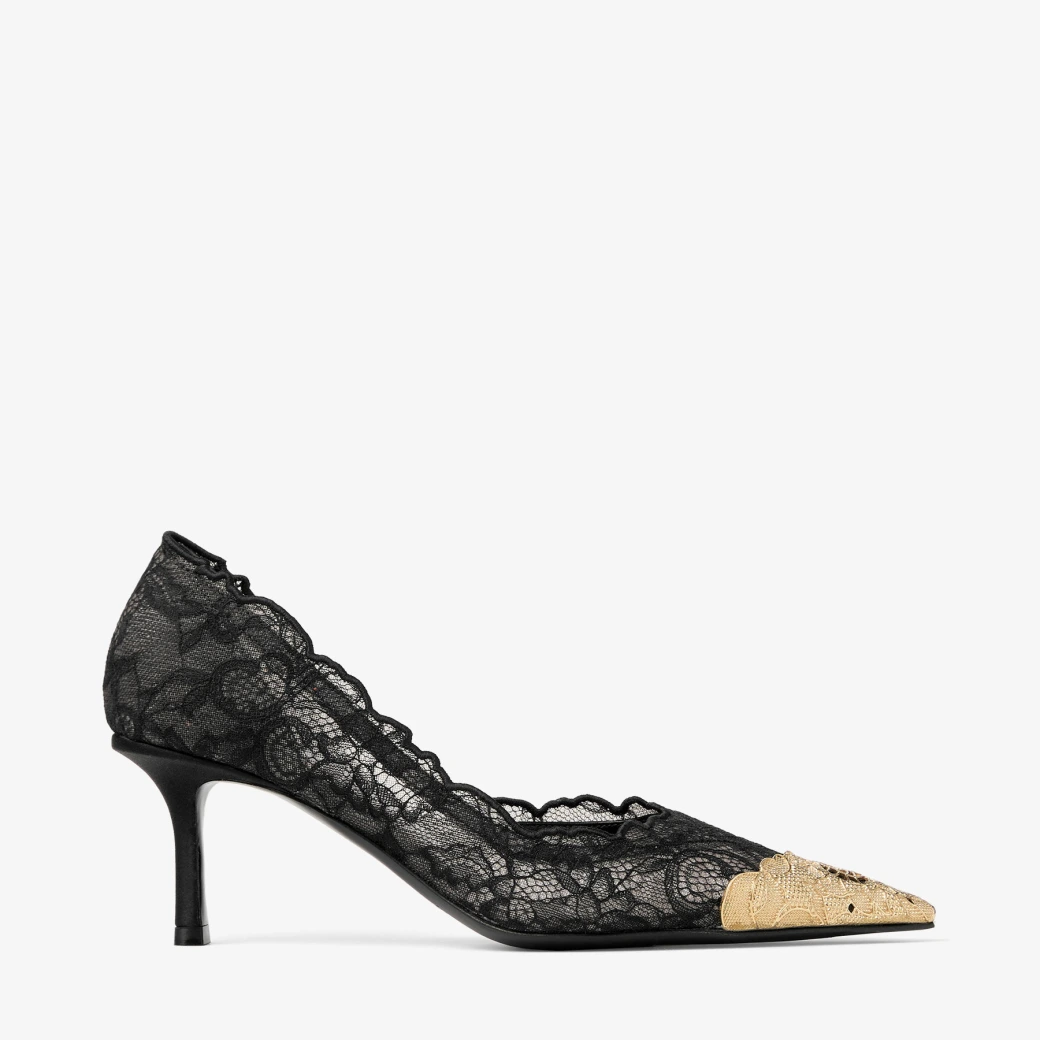 Faiz Pump 65