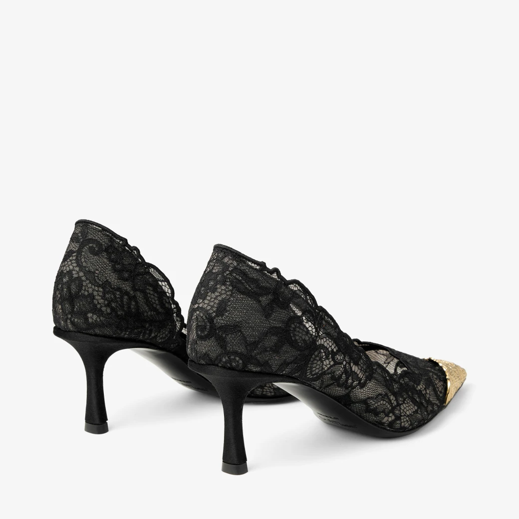 Faiz Pump 65