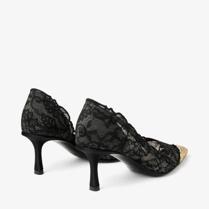 Faiz Pump 65