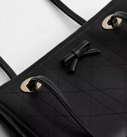 Small Dior Promenade Shopping Bag