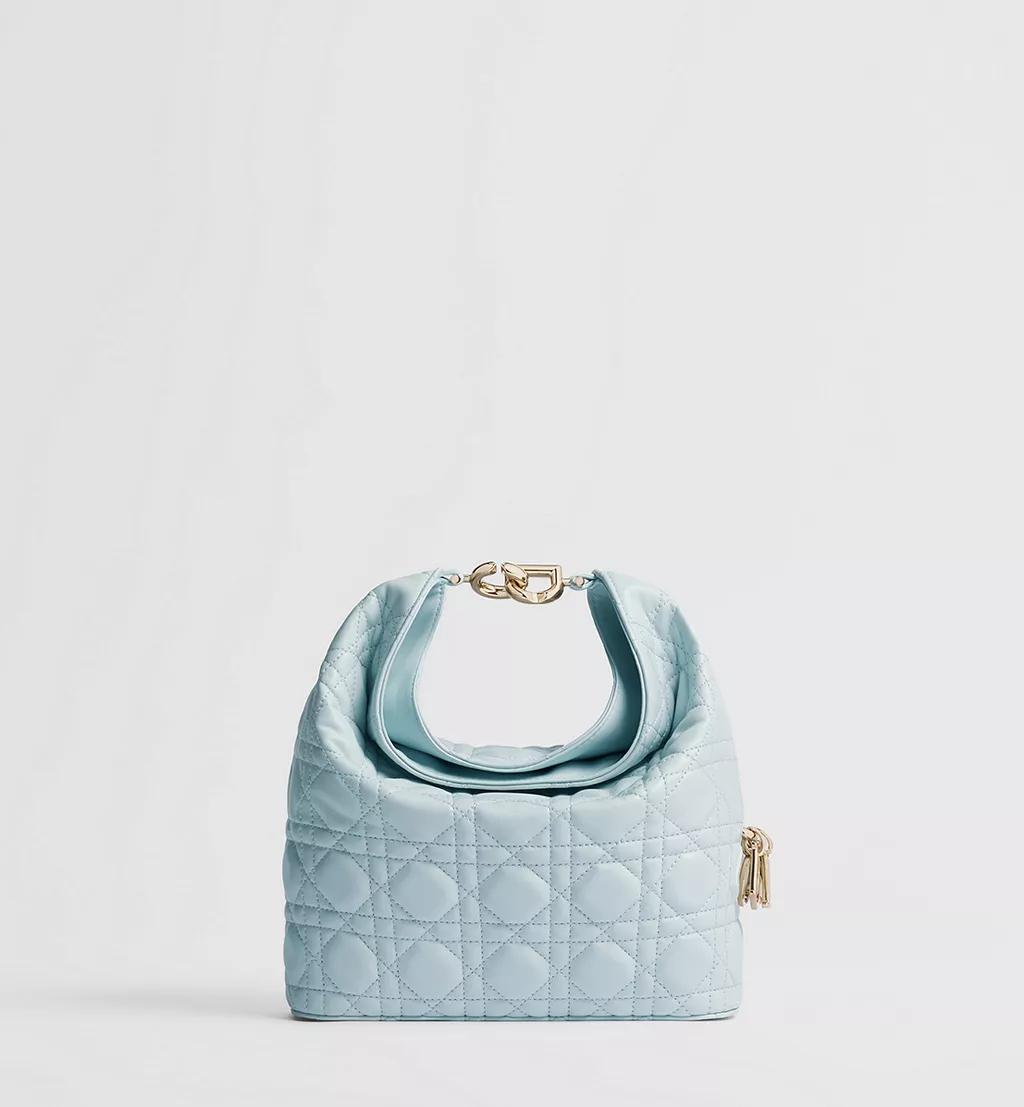 Small Dior Toujours Hobo Bag