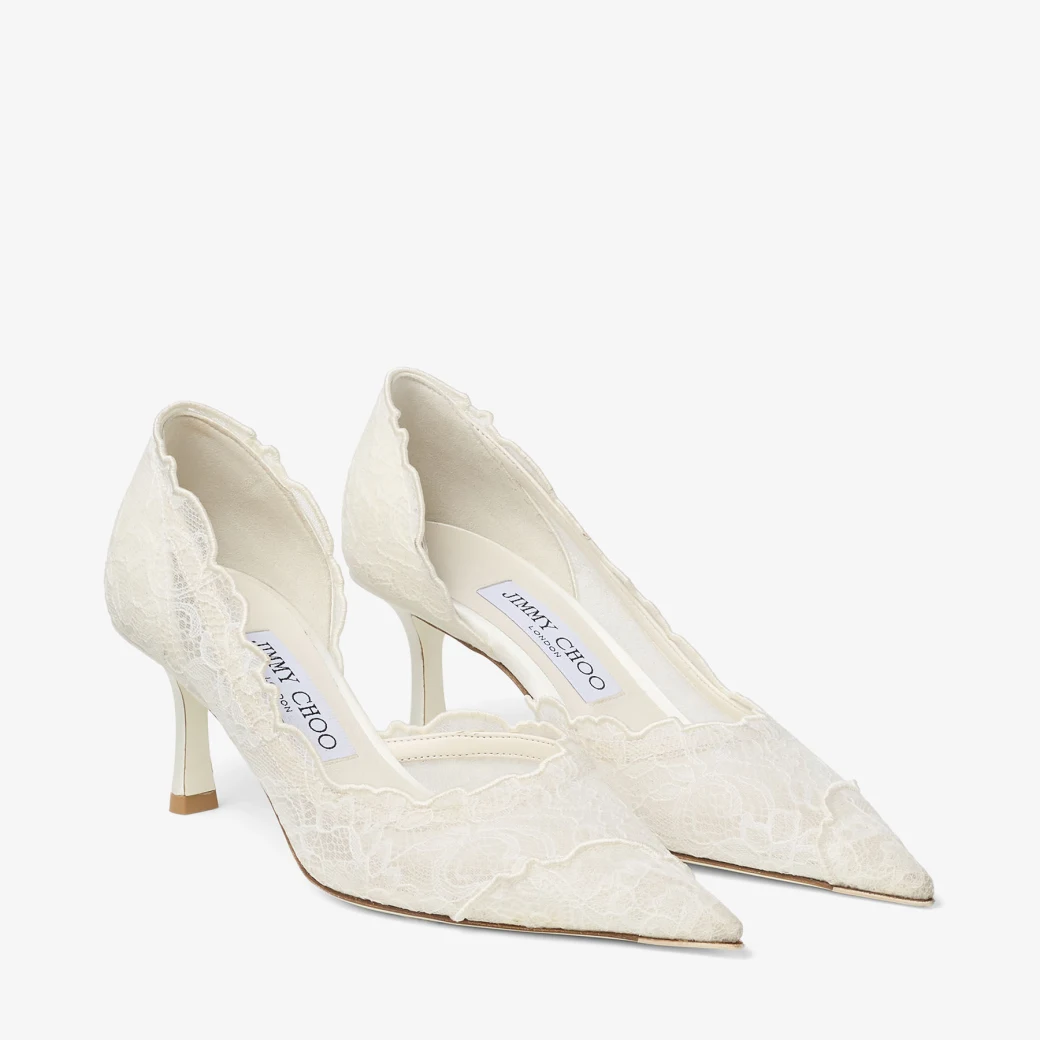 Faiz Pump 65