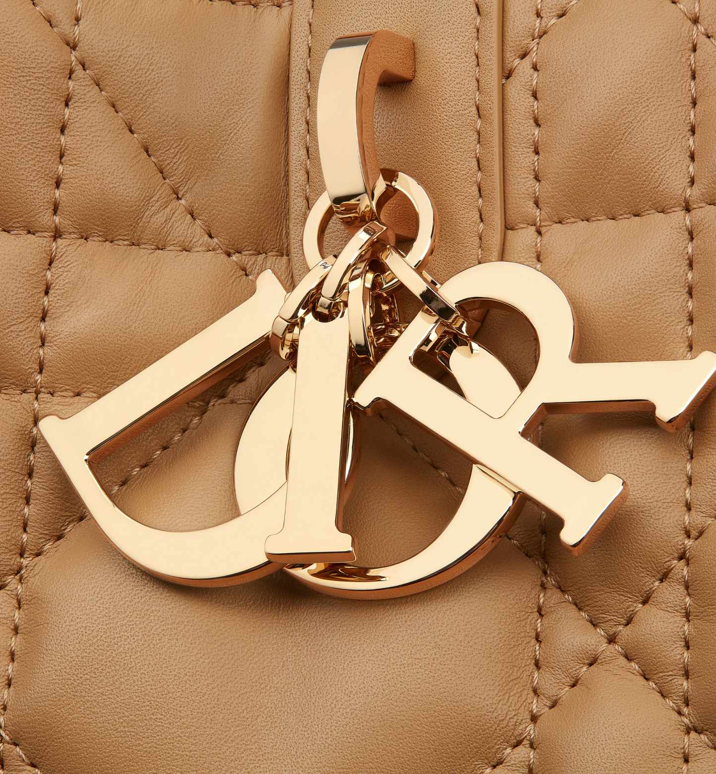 Medium Dior Toujours Bag