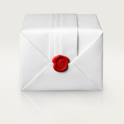 TANK AMÉRICAINE WATCH