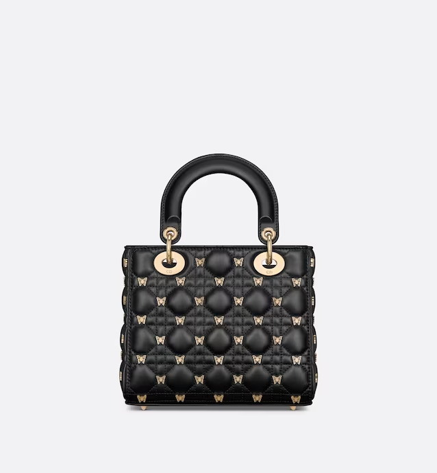 SMALL LADY DIOR BAG