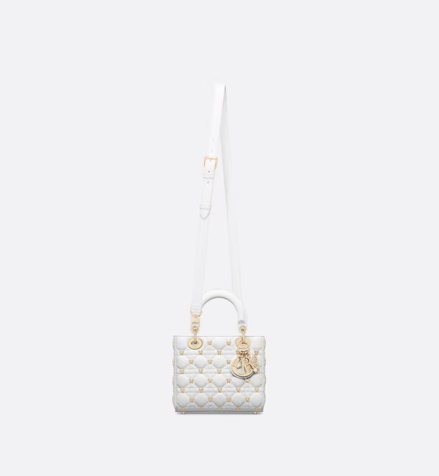 SMALL LADY DIOR BAG