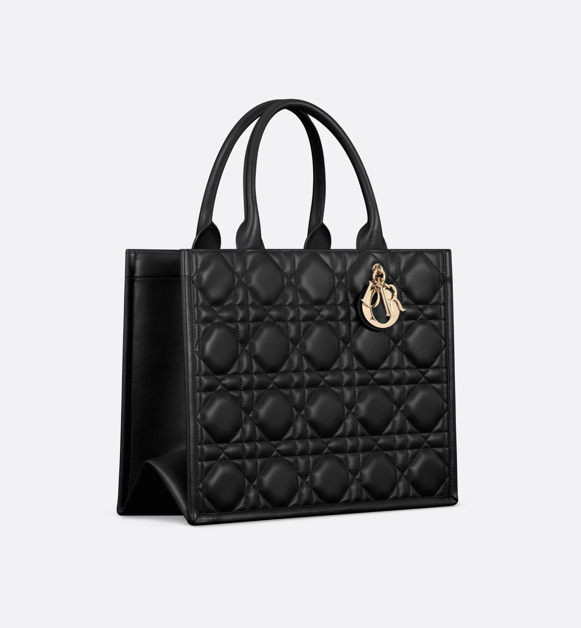 Medium Dior Book Tote